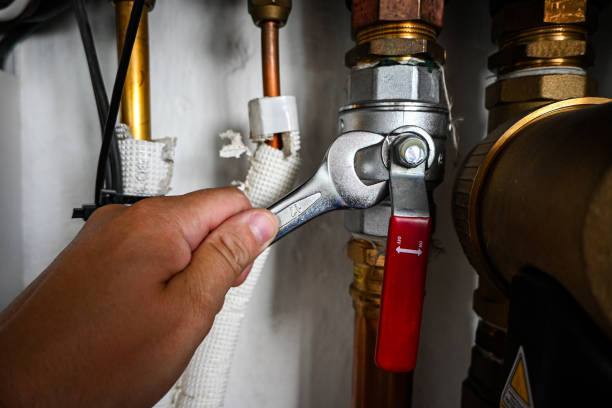 Best Drain Cleaning Services  in Ardia, CA